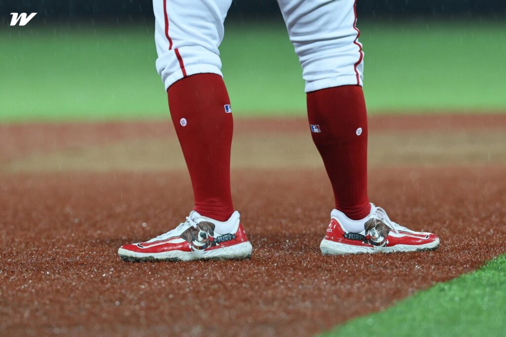 523873772 1336051081862626 2353466852504950561 n